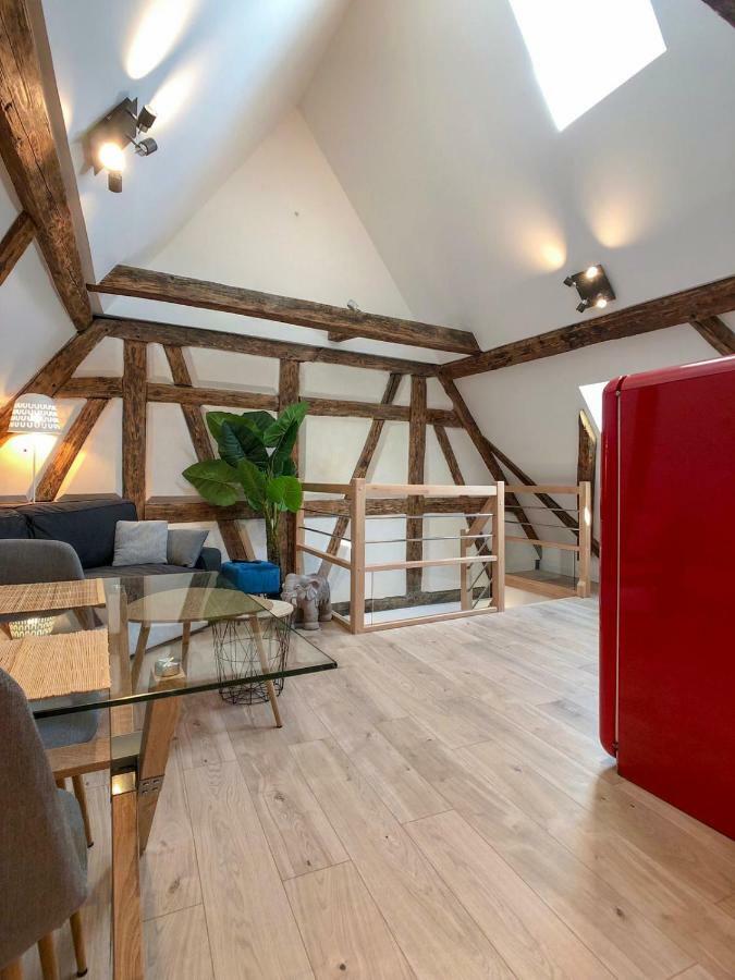 Beauty & The Beast - Old Town Cosy Apartments Colmar Buitenkant foto