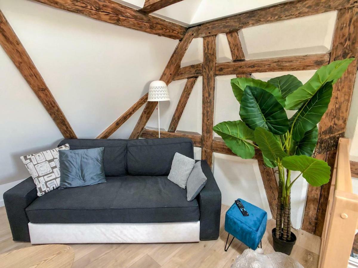 Beauty & The Beast - Old Town Cosy Apartments Colmar Buitenkant foto