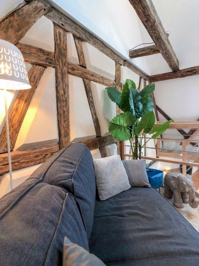 Beauty & The Beast - Old Town Cosy Apartments Colmar Buitenkant foto